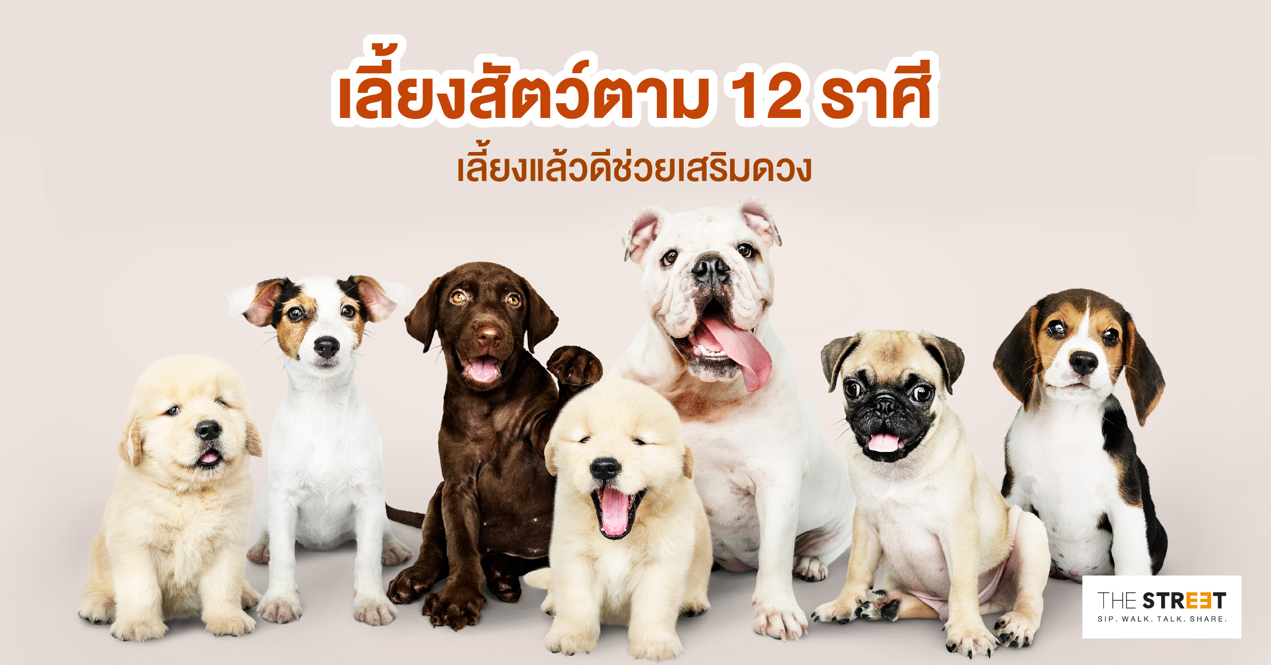 เลี้ยงสัตว์ตาม-12-ราศี-เลี้ยงแล้วดีช่วยเสริมดวง